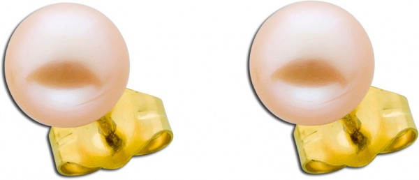 Ohrringe – Perlenohrstecker Gelbgold 585