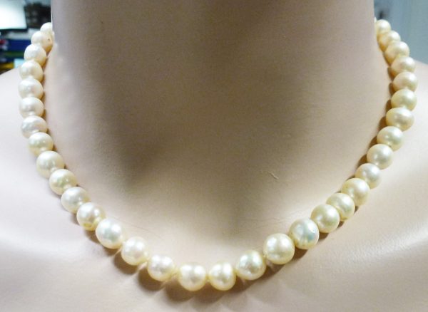 Perlenkette – Perlencollier Akoyaperlen 42cm