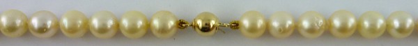 Perlenkette – Perlencollier in Gelbgold 14 Karat mit japanischen Akoyaperlen