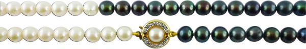 Perlenkette – Perlencollier mit schwarzen und weißen Akoyazuchtperlen und Goldschliesse 585/-