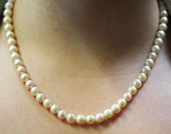 Perlenkette Perlencollier  japanische Akoyazuchtperlen Gelbgold 585 Schliesse creme weisse Perlen