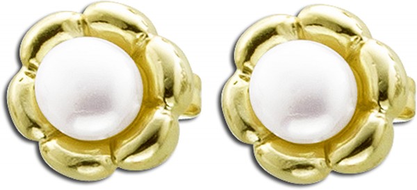 Ohrringe Ohrstecker Sterling Silber 925gelb vergoldet, mit Süsswasserzuchtperlen