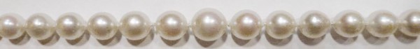 Perlencollier aus japanischen Akoyazuchtperlen, Größe der Perlen von 5,2-8,5 mm, eigenhändig im Verlauf geknüpft. Länge des Perlencolliers 76 cm. Ebenso ist diese exclusive Perlenkette endlos geknüpft, das heißt es gibt keinen Perlenverschluss, das erleic